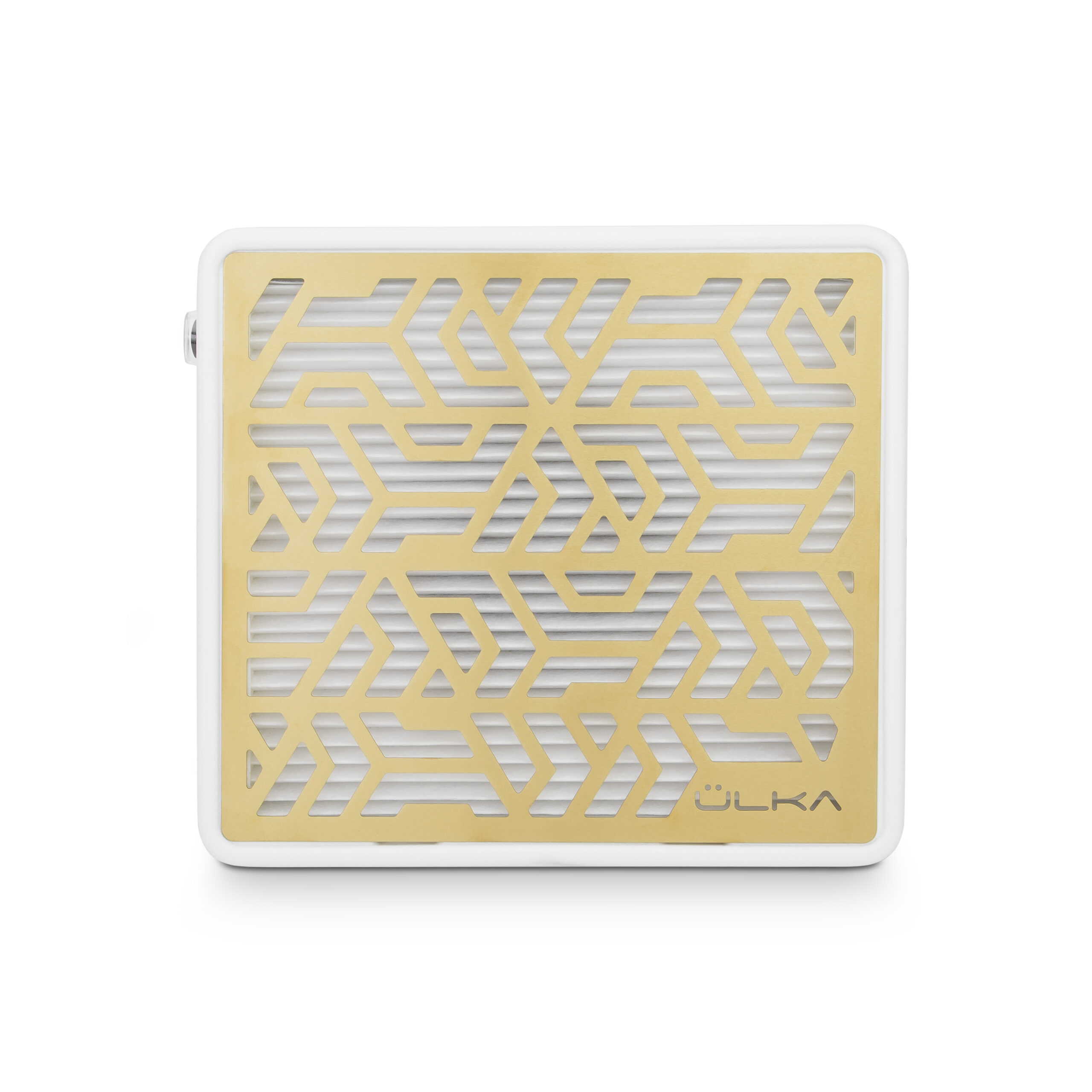 white_premium_and_gold_grille_01-1